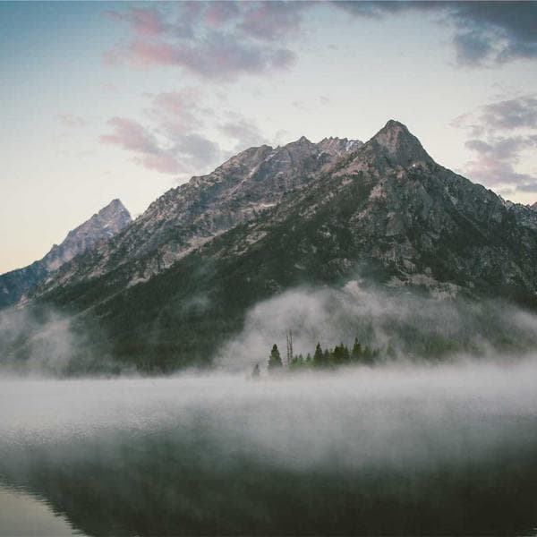 Bulk Order Pack